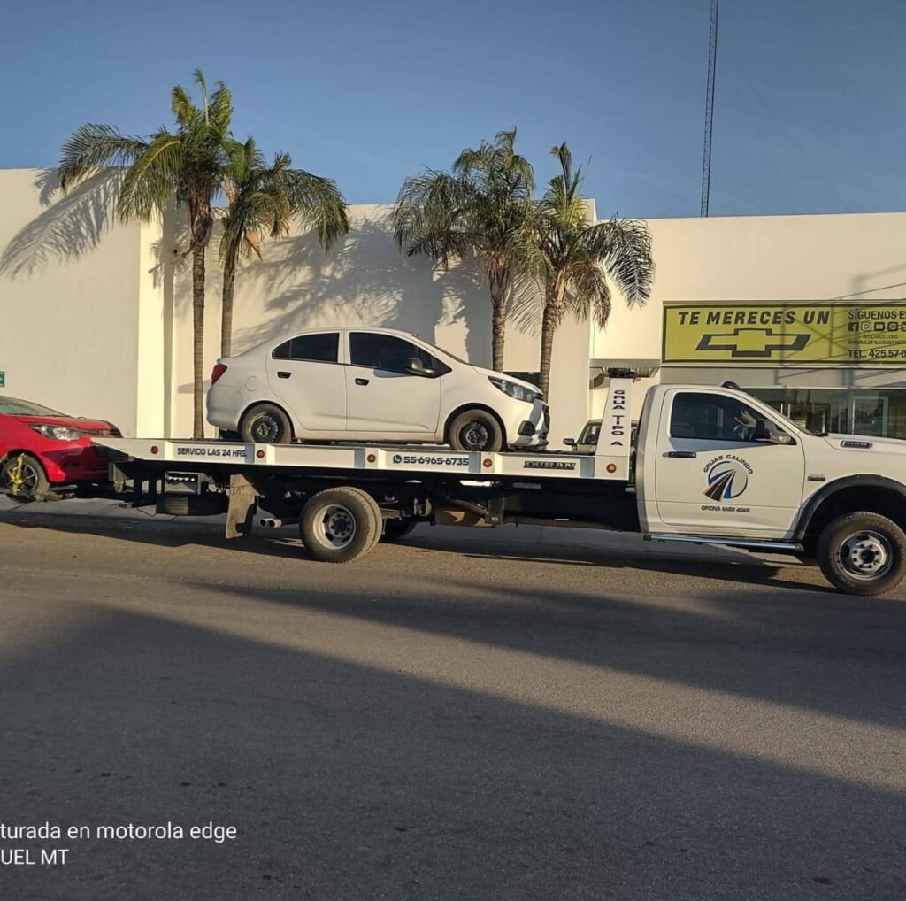 whatsapp image 2026 01 09 at 1.00.15 pm